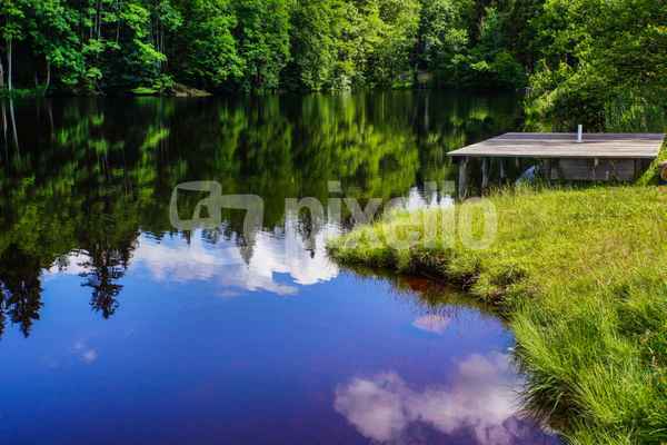 Waldsee mit Badesteg