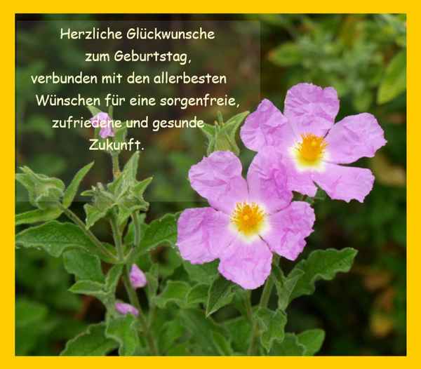 Geburtstagswunsch