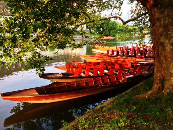 Stocherkähne am Neckarufer bei Esslingen