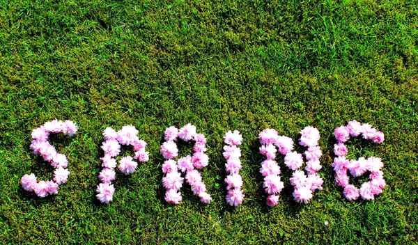 ENDLICH FRÜHLING I