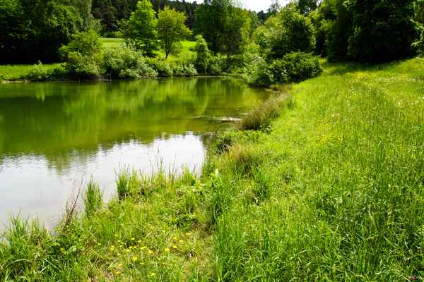 Still ruht der See