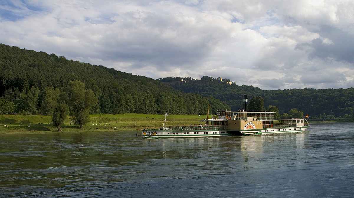 Elbdampfer vor Königstein