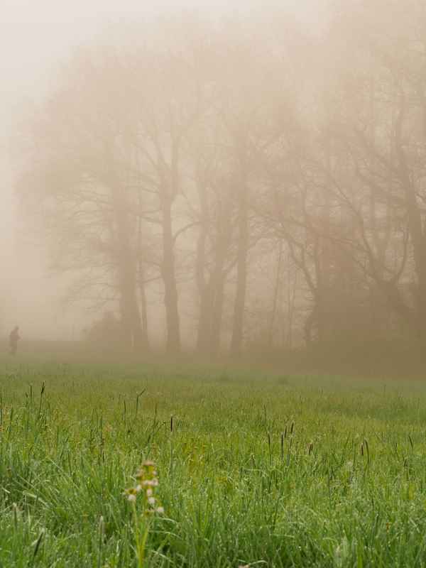 joggen bei jedem wetter