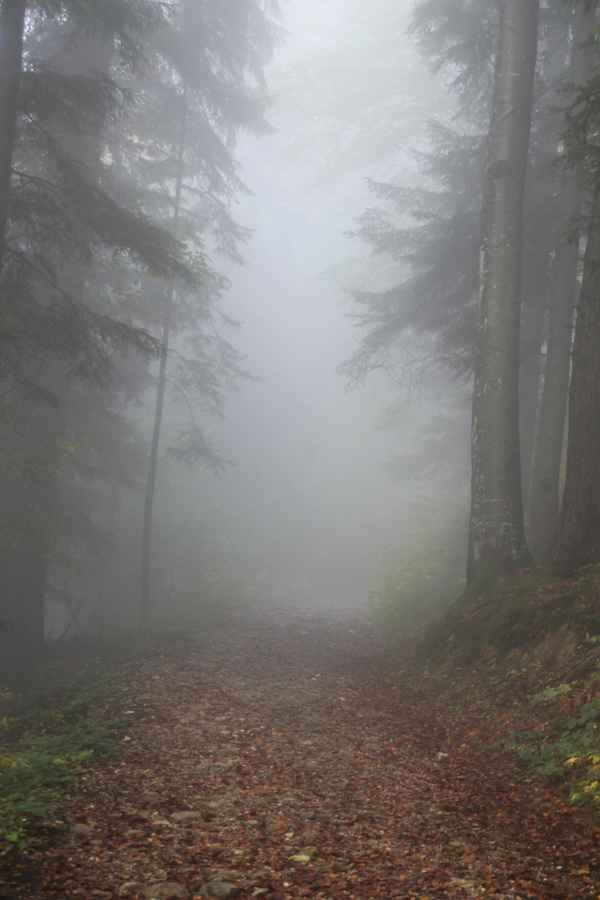 Ein Tag im Nebel 07