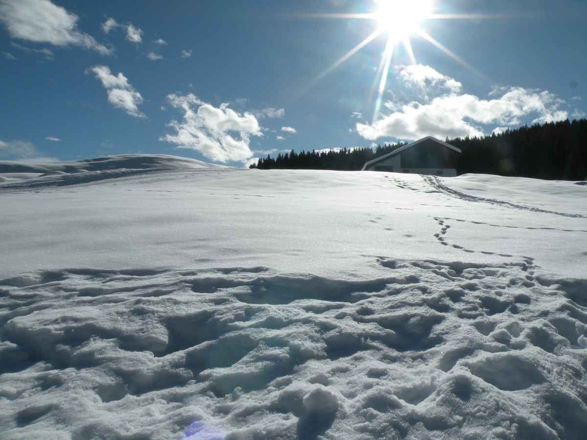 Winterimpressionen 21