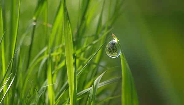 ** zauberhafter frühlingstag **