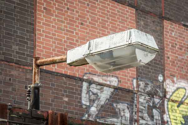 Die letzte Ihrer Art