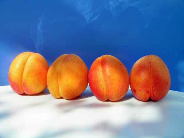 auf der Sonnenbank . . .