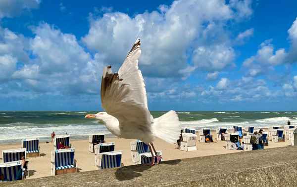 Abflug auf Sylt