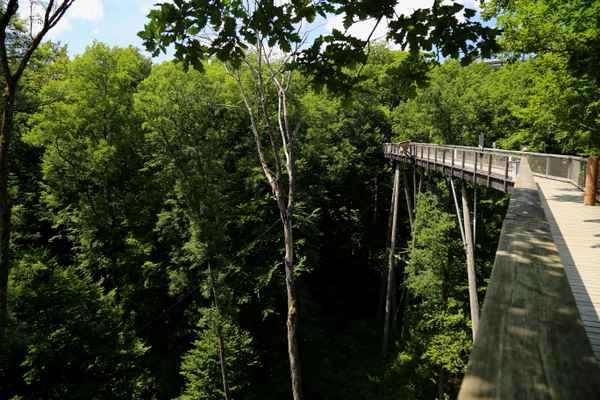 Baumwipfelpfad Steigerwald