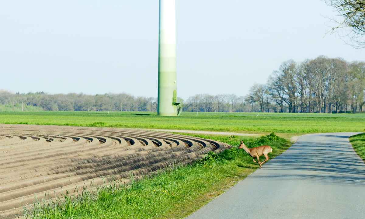 auf der flucht 2
