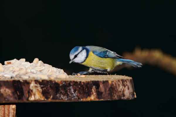 Gleich gehörst du mir ...