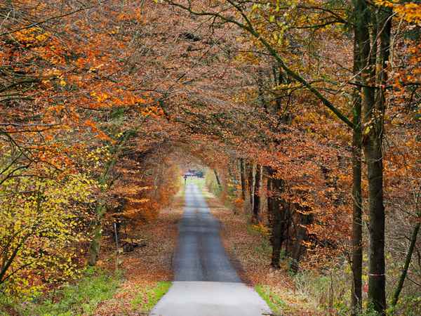 bergab durch den herbst