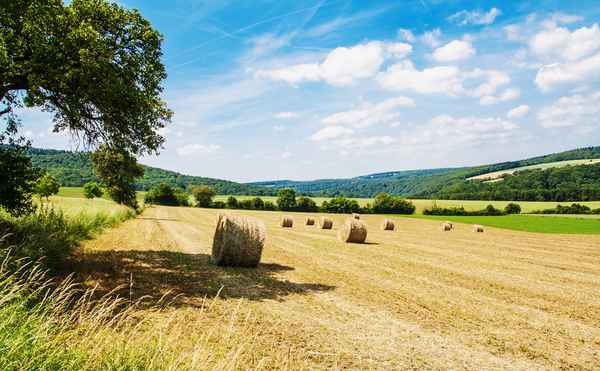 SommerLandschaft