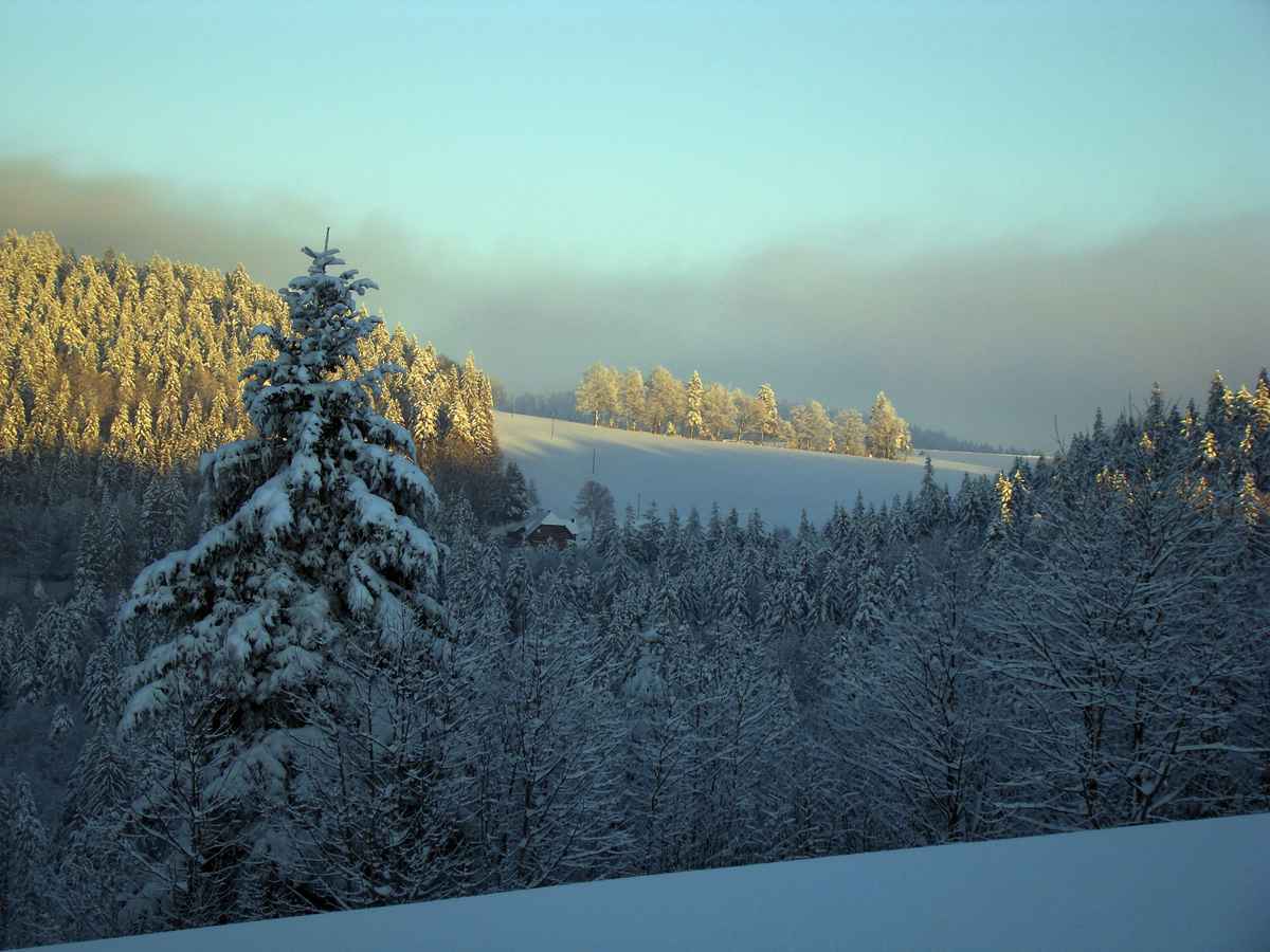 Winterlandschaft Schwarzwald