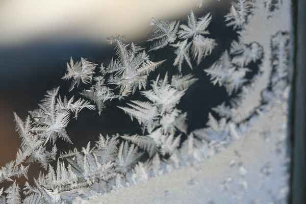 Eisblumen_4