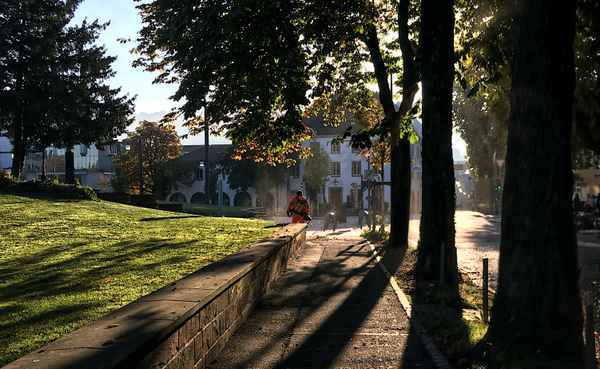 Herbst-Laubbläser in Freiburg
