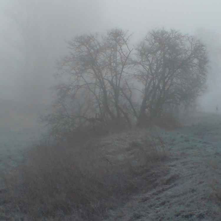 Winter in Hohenmölsen 2