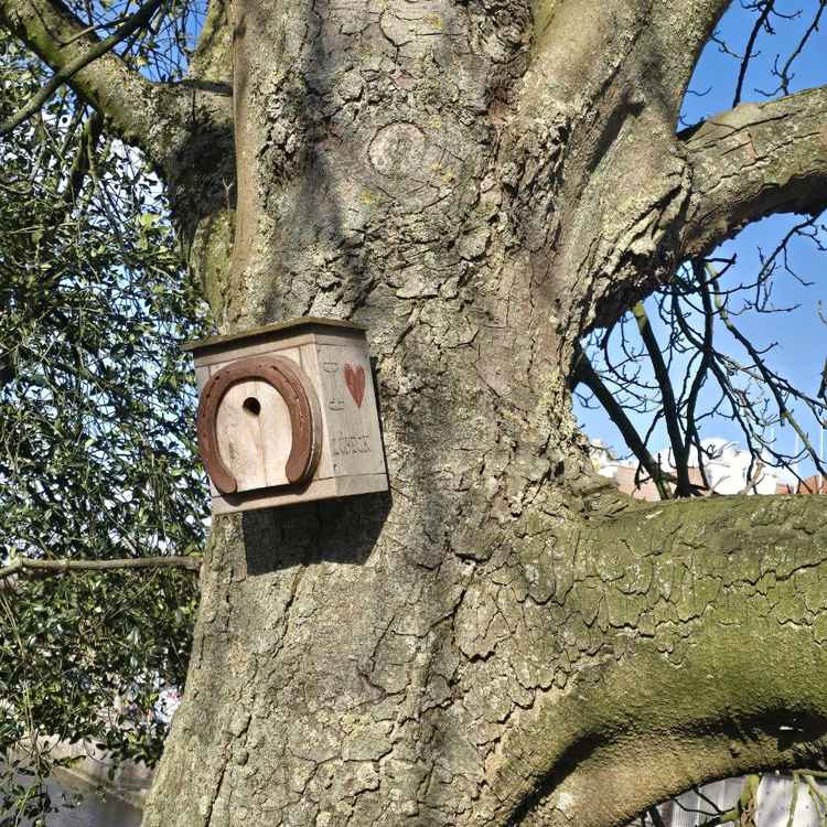 Sch&ouml;nes Vogelh&auml;uschen