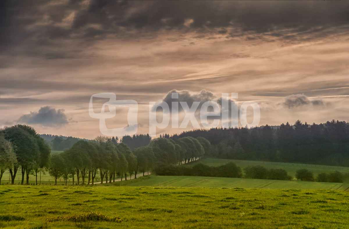 Ein beschauliches Idyll