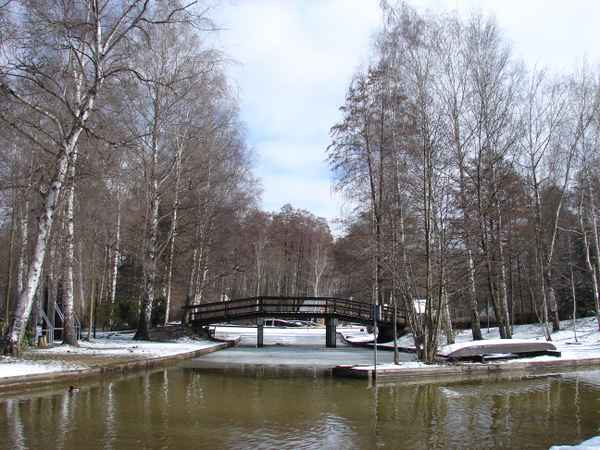 Spreewald im Winter