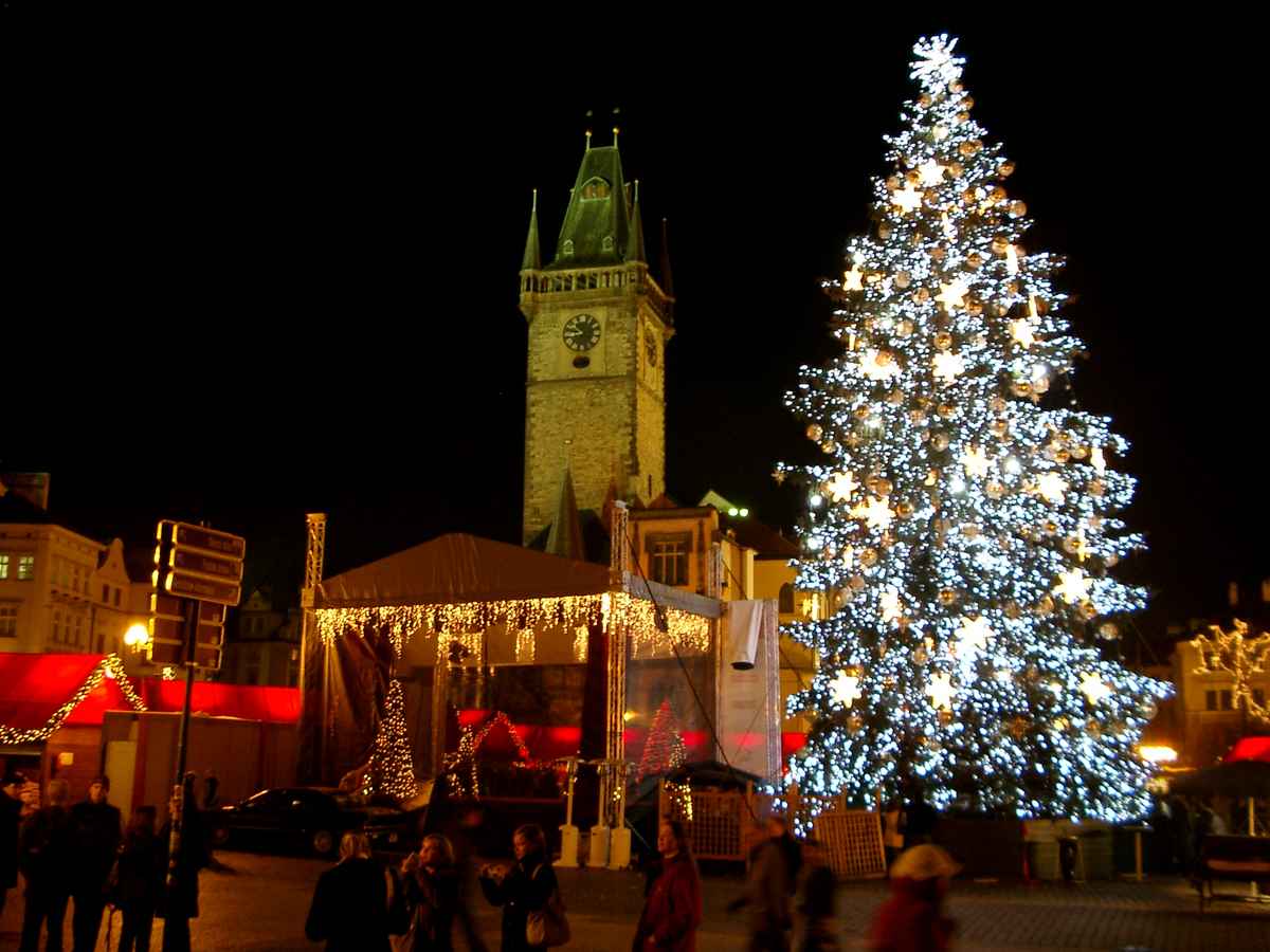 Rathaus mit Weinachtsbaum