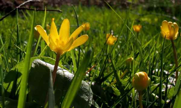 licht und schattenspiele  8