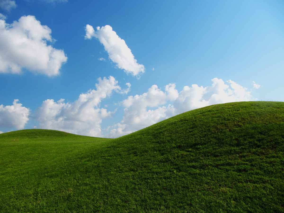 Grüne Hügel vor Morgenhimmel