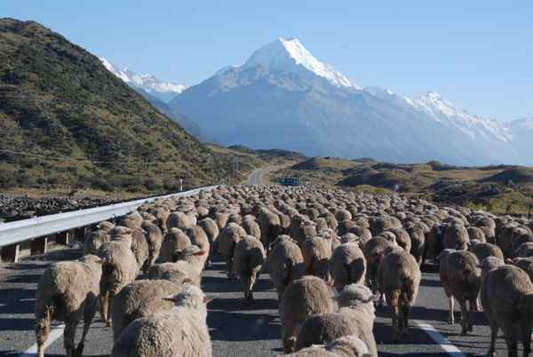 Mount Cook