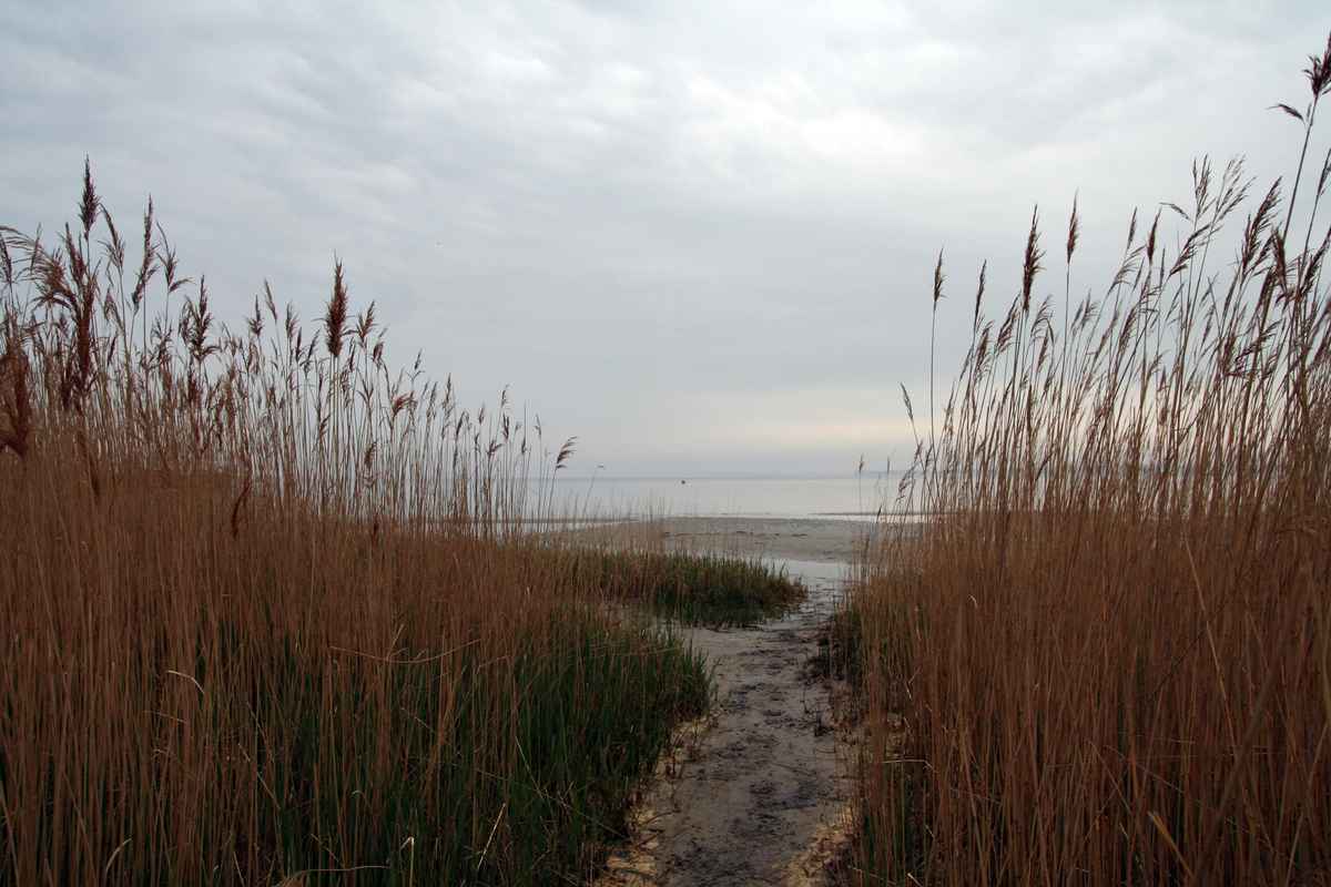 Ostseestrand Wohlenberg