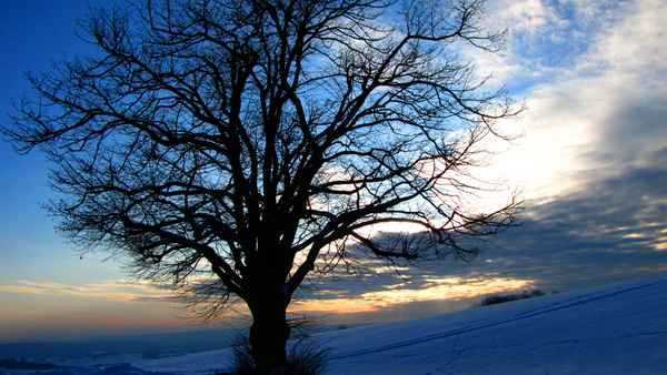 Wintersonne geht unter