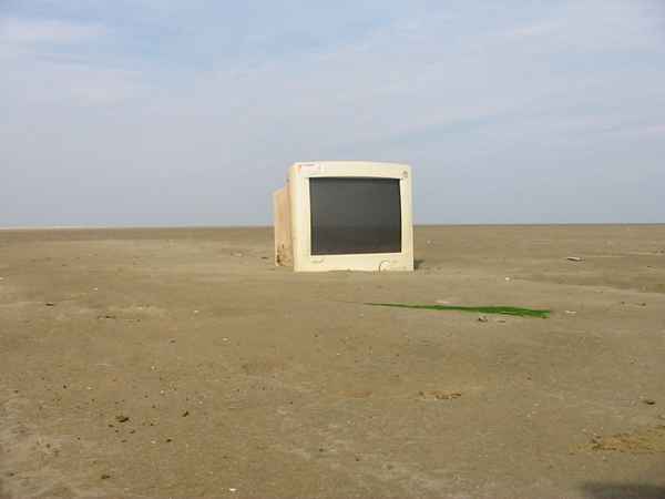 Strandgut