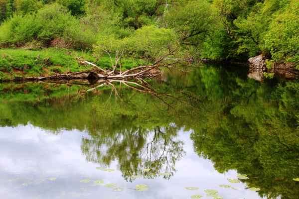 Idyllischer Winkel