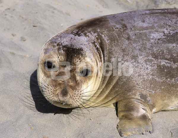 Am Strand da lasse ich es mir gut gehen
