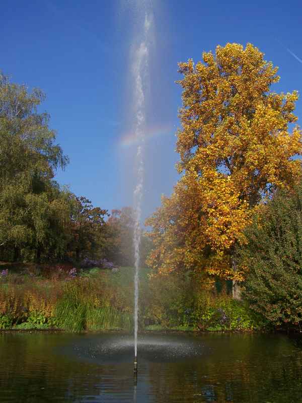Fontäne mit Goldbaum