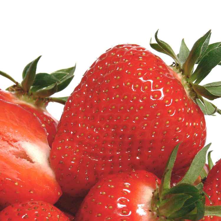 Dessert I (nur redaktionelle Nutzung)