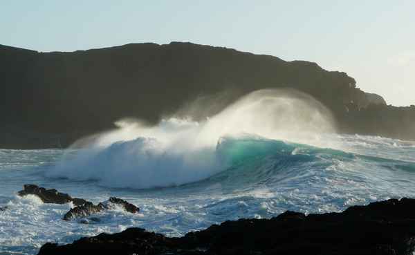Natürliche Gesundheit