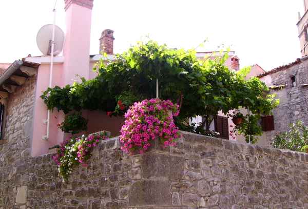 Blumenecke