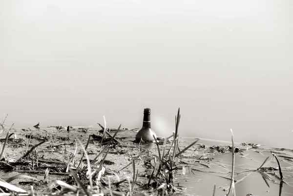 flasche