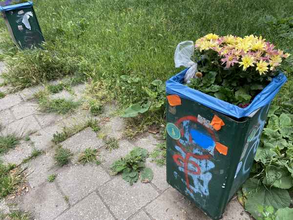 Liebeskummer: Vielen Dank für die Blumen / Foto: Alexander Hauk