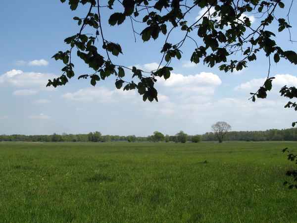 Weiter Blick ins Land