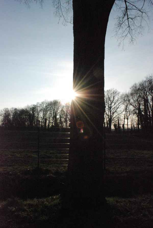 der sonne entgegen 2