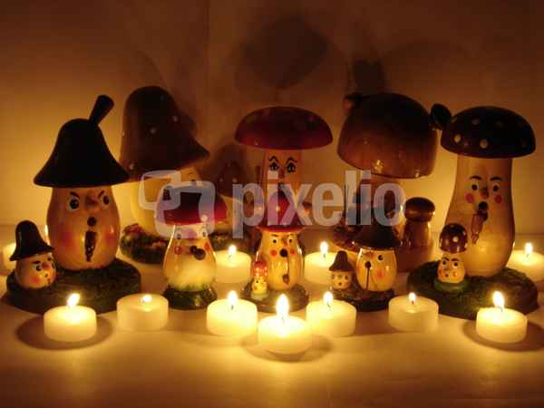 Räucherpilze in weihnachtlicher Abendstimmung