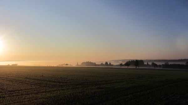 Nebel im Ohrenbachtal