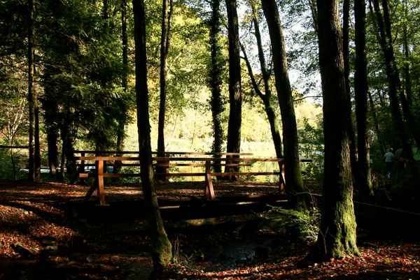 herbstspaziergang am see