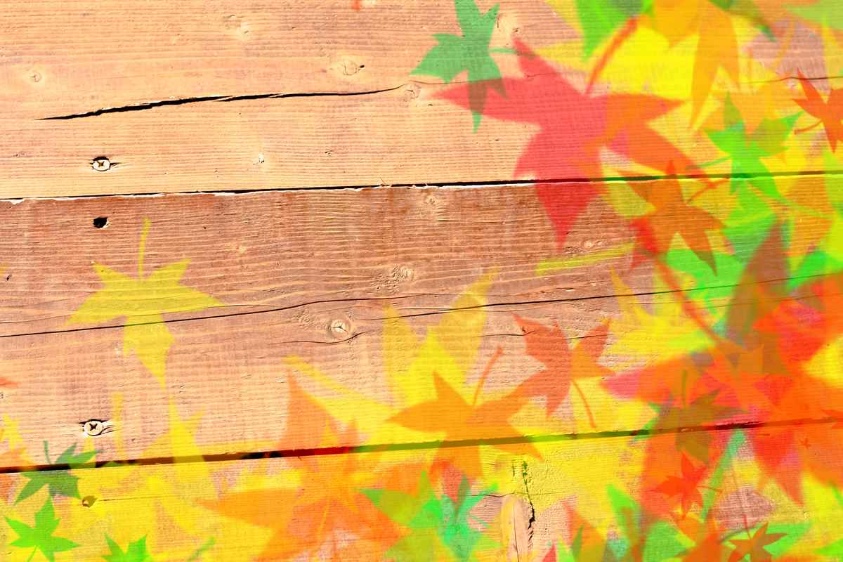 Herbstblätter auf Holzplatte
