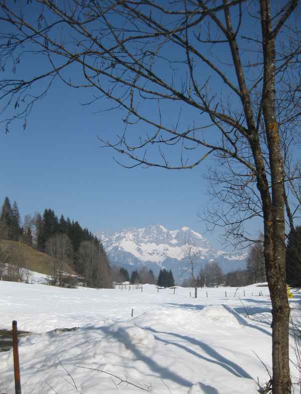 Blick zum Wilden Kaiser
