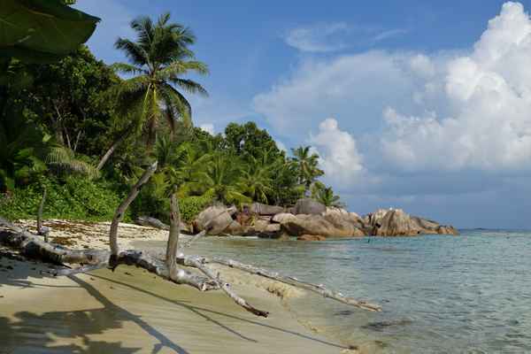 Traumstrand der Seychellen