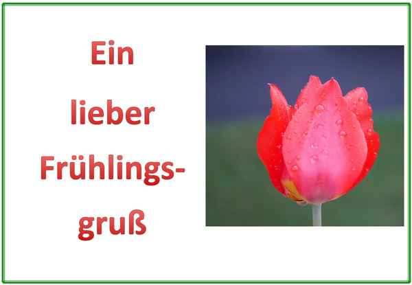 Frühlingsgruß