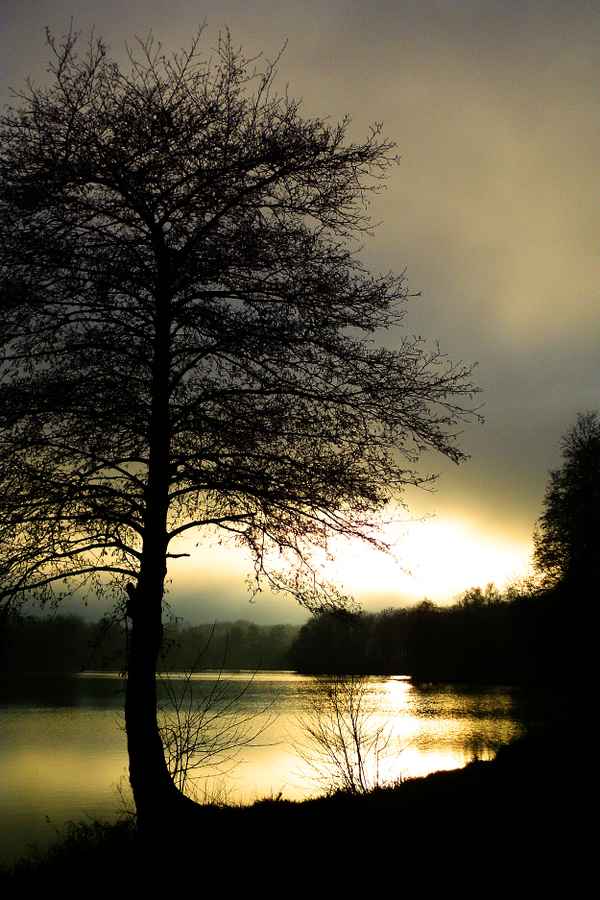 Lake in the Evening II